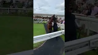 Autism in Racing: the Parade Ring at York Racecourse