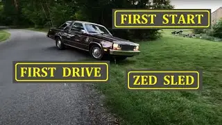 Zed Sled, First Start, First Drive