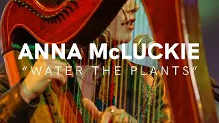 Anna McLuckie - 'Water The Plants' (Art School Live)