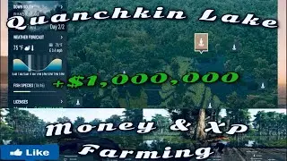 Fishing Planet|Quanchkin Lake Guide & Tips Bass Money Hole