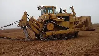 tree rows part 1