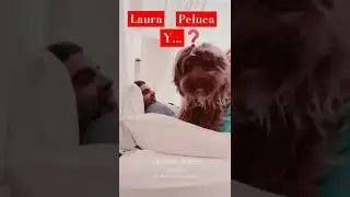 LAURA FERN&Aacute;NDEZ,  PELUCA BRUSCA Y UN INTRUSO #shorts #laurafernandez