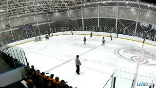 Coronation Bengals vs Dofasco Steelhawks - Round Robin Game 2 - Tournament of Friends - 11/22/24
