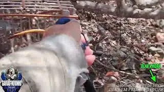 AZUL&Atilde;O GAVI&Atilde;O NOVINHO NA PEGADA 