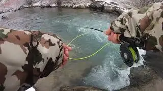 Fly Fishing And Cooking What I Catch {Catch Clean Cook}