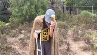 Birdlord 