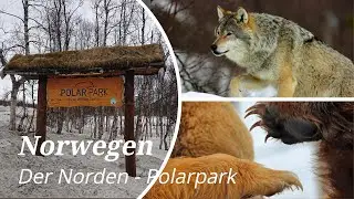 Norwegen, Norway - Der Norden - # 3 - Polarpark: heulende Wölfe, raufende Bären, Luchs, Elch, ...