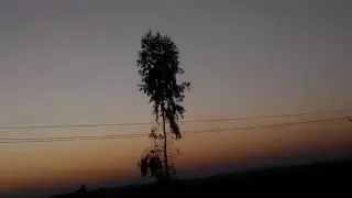 Shooting Star in the Sky (Real Video)
