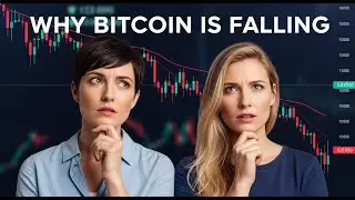 Why Bitcoin is Falling (and Why it Matters)
