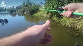Little crankbaiting!!!!! Hooking on them dinks