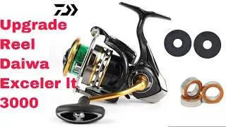 Upgrade bearing dan carbontex reel Daiwa Exceler lt 3000