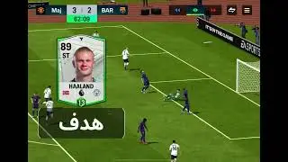 ١٣ ديسمبر، ٢٠٢٥