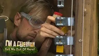 The Camp Get Locked Up With Crickets, Ants and Cockroaches  | I'm a Celebrity Get Me Out Of Here!