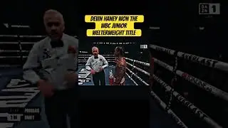 Devin Haney won the WBC junior welterweight title