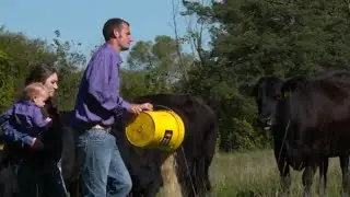 Iowa Minute: Upcycling is a key sustainable farming practice for livestock farmers
