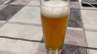 MiniBrew - Wiltenburg Lager / Mini Verkostungsvideo