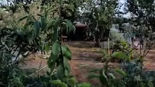 نصف هكتار محفظة 5000ميتر فيها فيلا وألأشجار اتصل لتوضيح أكثر 0660304550//00675813663