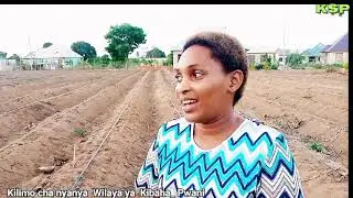Funga Mfumo wa umwagiliaji /Drip system installation kwa gharama nafuu kabisa kupitia KSP.