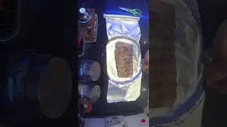 Short Recipe 🍖PORK RIBS 🍖 in 360&deg;