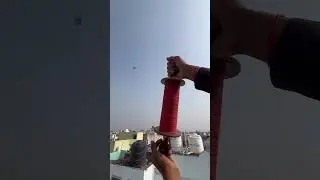 Kite flying with full charkhi #kite #patang #patangkite