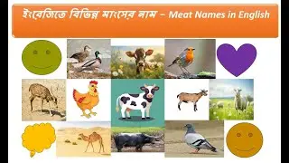 ইংরেজিতে বিভিন্ন মাংসের নাম - Meat Names in English