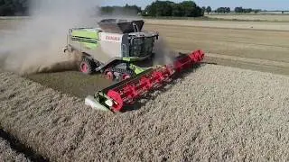 Harvest19