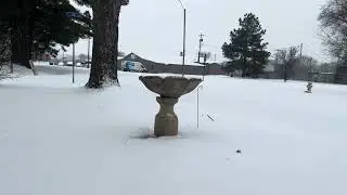 Snowfall In Arkansas 