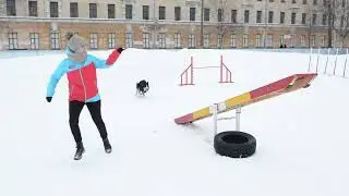 korab olimp