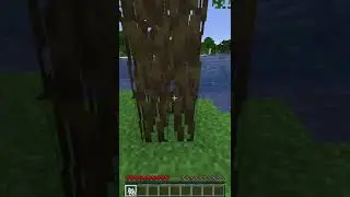How to get Mangrove Wood in Minecraft?