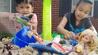 Kids Pretend Play Shark Toys Hiddend in The SandBox | Tiger Play Sea Animal Toys In The Sandbox