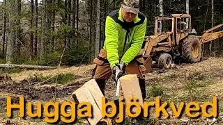 Hugga bj&ouml;rkved med yxa ( Vedhuggning med yxa)