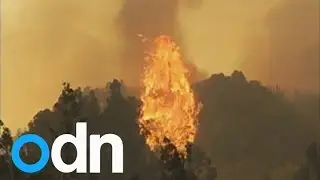 Forest fires rage in Chile: Thousands evacuated from coastal city