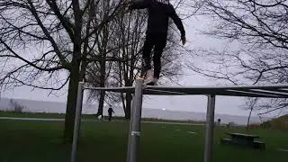Tillemans (1)