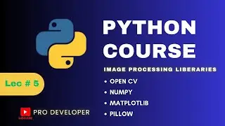 How to display images in Python | Top 4 Libraries for image processing | Pro Developer