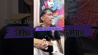 elmore james - the sky is crying #cover #blues #jimihendrix #music #fender #guitar #guitarcover