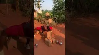 Dumbbell chest workout 🏋️ #motivation #fitneess #gymroutine #gym #africa #gymworkout