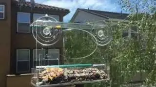 How easy to refill seeds and water