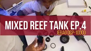 Mixed Reef Tank Ep.4 | jebao DC pump 10k Unboxing & Install
