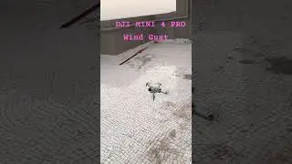 DJI Mini 4 Pro Wind Gust #drone #dji #djimini4pro #wind #stability