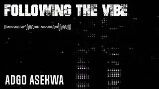 Adgo Asekwa - Following The Vibe (Music Video)