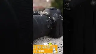 BEST HYBRID Camera: Canon EOS R6 Mark II for Photos & Video #shorts