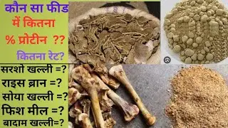 protein percentage % in fish feed? kisme kitna % feed? #fishfeed #fishfarming #fish
