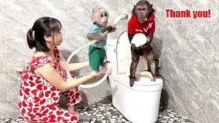 Baby monkey practices toilet training with ABU!