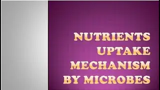 Nutrient Uptake by Microorganisms I ICAR JRF guide