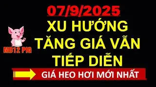 Gi&aacute; heo hơi h&ocirc;m nay 07/9/2025 | TĂNG GI&Aacute; TIẾP DIỄN | #md12pig #giaheohoihomnay #giaheohoi