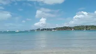 25 January 2026 In between showers and down pours I walked into Long Beach  village.
