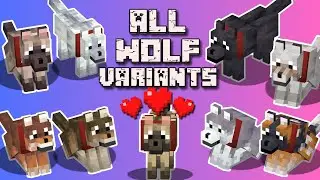 Как найти ВСЕ разновидности волков в Minecraft