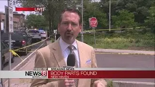 Human body parts found in downtown New Haven