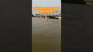 Yamuna Alert 🚨 #shortsviral #alert #yamuna #shortsviral #viral #shortvideos #shortvideos #mathura
