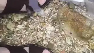 Morteza Ali hot spring in Yazd چشمه مرتضی علی یزد - طبس